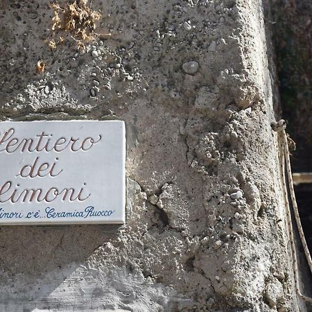 Torre Elisea Bed & Breakfast Minori Exterior photo