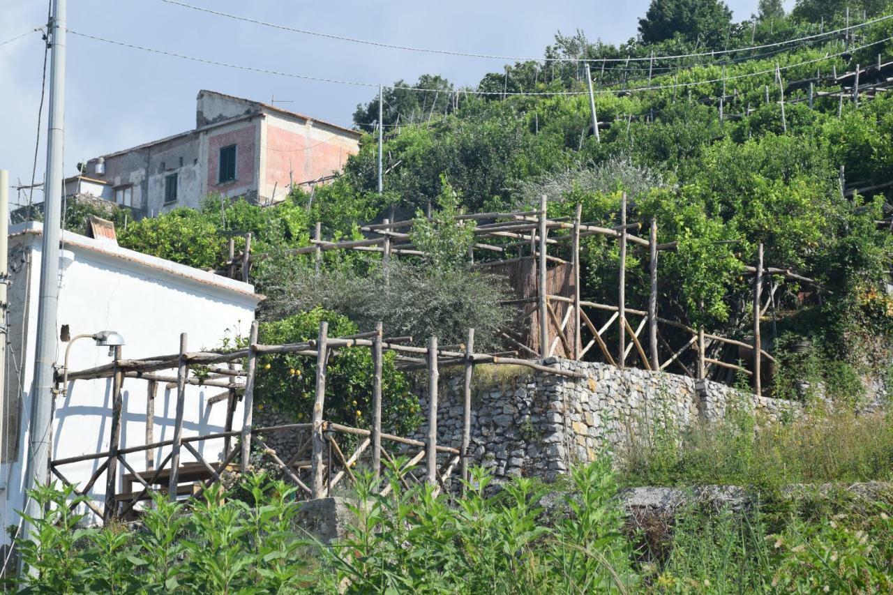Torre Elisea Bed & Breakfast Minori Exterior photo